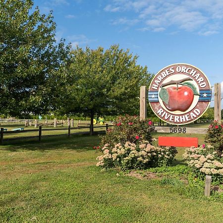 Large Modern North Fork Barn:Vineyards In Backyard, Harbes Farms Villa Mattituck Eksteriør billede